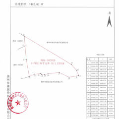 海南儋州市儋州市南辰农业开发有限公司一队公司班3号地块11.2393亩橡胶园土地出租
