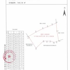 海南儋州市儋州市南辰农业开发有限公司一队公司班2号地块11.2393亩橡胶园土地出租
