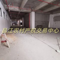 省直辖县昌江黎族自治县石碌镇阳光公寓一楼10121号商铺699.57㎡出租