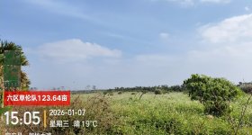海南农垦南金农场有限公司121.73 亩“非粮化”“非农化”专项整改复耕工作用地出租