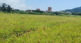 海南省直辖县万宁市万城镇裕光社区第十一小组南门洋4.5亩土地出租项目