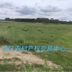 昌江黎族自治县乌烈镇纳凤村委会纳凤田、底下园、报英等1183.1亩土地出租