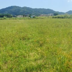 海南省直辖县万宁市万宁市万城镇裕光社区第十七小组南门洋4.5亩土地出租项目