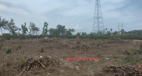 省直辖县陵水黎族自治县文罗镇新华村三角威一组4.08亩集体林地经营权出租