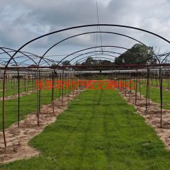省直辖县乐东黎族自治县佛罗镇福塘村6.47亩地块集体土地流转