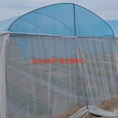 省直辖县乐东黎族自治县佛罗镇福塘村2.9亩地块集体土地流 转
