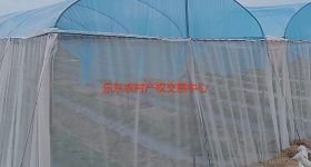 省直辖县乐东黎族自治县佛罗镇福塘村2.9亩地块集体土地流 转