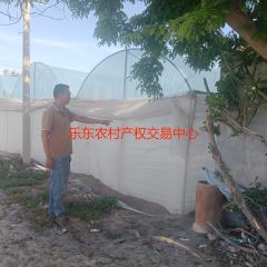 省直辖县乐东黎族自治县佛罗镇丰塘村洋路门（沙滩）地块 9.67亩集体土地流转