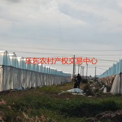 省直辖县乐东黎族自治县佛罗镇福塘村44.38亩地块集体土地流转