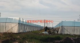 省直辖县乐东黎族自治县佛罗镇福塘村44.38亩地块集体土地流转