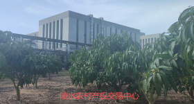 省直辖县陵水黎族自治县文罗镇新华村三角威一组8.8亩集体园地经营权出租