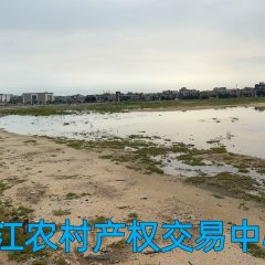 省直辖县昌江黎族自治县海尾镇海尾渔港陆域南区4255㎡用地出租