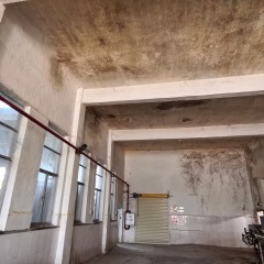 海南省直辖县定安县金鸡岭农场罐头厂建筑物及场地打包出租