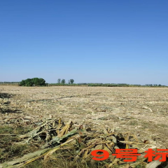 南乐县元村镇西审什村委会32.5亩集体耕地（9号标）