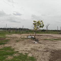 省直辖县文昌市翁田镇排崀村府宅组集体经济组织0.403亩集体土地出租