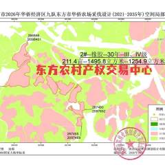 海南省直辖县东方市华侨农场九队321.70亩橡胶林下土地出租