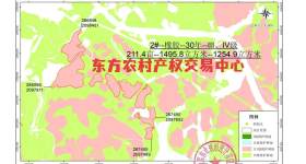 海南省直辖县东方市华侨农场九队321.70亩橡胶林下土地出租