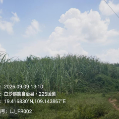 海南2024年垦区耕地“非粮化”“非农化”专项整改复耕地块项目产业合作