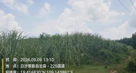 海南2024年垦区耕地“非粮化”“非农化”专项整改复耕地块项目产业合作