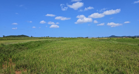 海南省直辖县昌江黎族自治县垦地融合现代农业产业园二队基地1793.69亩耕地短期作物种植产业合作
