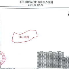 海南儋州市王五镇山营村委会峨答村32.65亩土地经营权出租