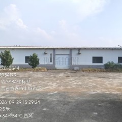 丰城市洛市镇彭坊村委会何首乌基地