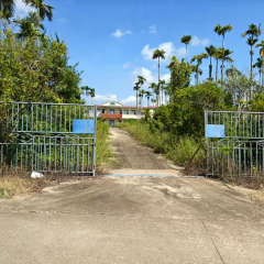 海南省直辖县琼海市阳江镇红色村委会红色小学26亩闲置校园校舍出租