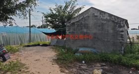 海南省直辖县乐东黎族自治县佛罗镇福塘村6.62亩地块集体土地流转