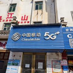 高安市龙潭镇龙潭村委会店面