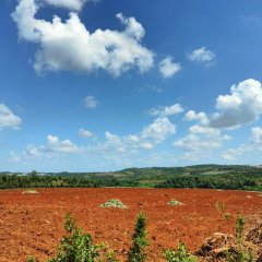 海南海口市琼山区新昌村民委员会18000.09平方米林地