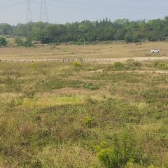 丰城市小港镇张洲村委会老岸洲地