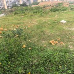 海南海口市龙华区城西镇苍西村3亩集体用地