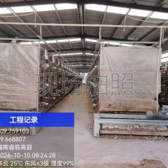 临高县和舍镇罗忱村委会罗忱村集体经济组织20908羽银羽王种鸽及肉鸽出售