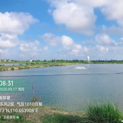 海南省直辖县文昌市海南琼北大草原投资控股发展集团有限责任公司182.29亩鱼塘出租