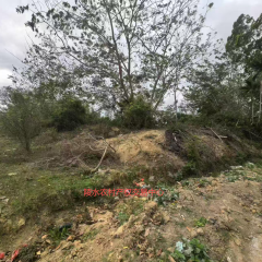 海南省直辖县陵水黎族自治县光坡镇武山村11.34亩集体建设用地使用权合作