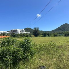 海南省直辖县陵水黎族自治县黎安镇大墩村地块十二48.4亩耕地出租