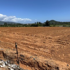 海南省直辖县陵水黎族自治县黎安镇大墩村地块四30.53亩耕地出租