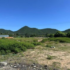 海南省直辖县陵水黎族自治县黎安镇大墩村地块八43.54亩耕地出租