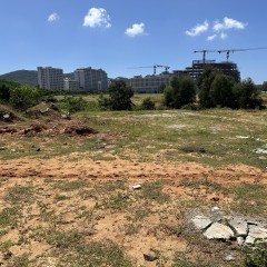海南省直辖县陵水黎族自治县黎安镇大墩村地块十三99.77亩耕地出租