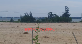 省直辖县陵水黎族自治县黎安镇岭仔村集体地块2耕地39.34亩经营权出租