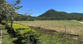 海南省直辖县陵水黎族自治县黎安镇大墩村地块七34.79亩耕地出租
