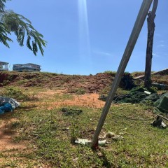 海南省直辖县陵水黎族自治县黎安镇大墩村地块十一102.15亩耕地出租