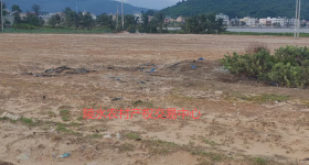 省直辖县陵水黎族自治县黎安镇岭仔村集体地块1-2耕地47.17亩经营权出租
