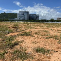 海南省直辖县陵水黎族自治县黎安镇大墩村地块六31.86亩耕地出租