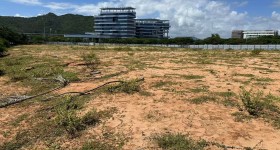 海南省直辖县陵水黎族自治县黎安镇大墩村地块六31.86亩耕地出租