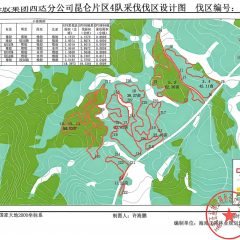 海南海胶集团西达分公司昆仑4队276.02亩（约1472立方米）橡胶木材出售