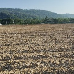 海南省直辖县陵水黎族自治县黎安镇后岭村18亩耕地出租