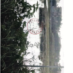 海南省直辖县万宁市万城镇镇南社区南门洋25.35亩土地出租项目