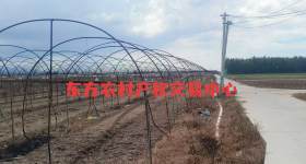 海南省直辖县东方市感城镇北沟农场大队园地块97.34亩集体土地出租