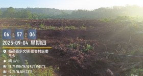 海南省直辖县临高县海胶红华分公司加来片区兰联多招队2标88.73亩胶园林下农业土地出租